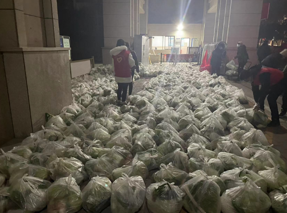 陕铁投置业公司抗击疫情志愿者在行动